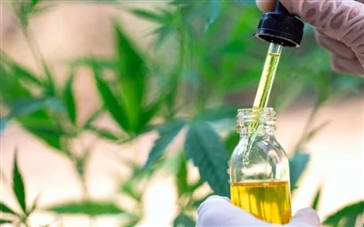 9 Faedah Kesihatan Minyak CBD — Dan Kesan Sampingan