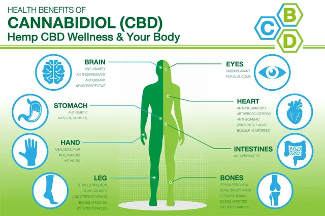 5 Faedah Kesihatan Terbaik Minyak CBD — dan Lihat Kesan Sampingan