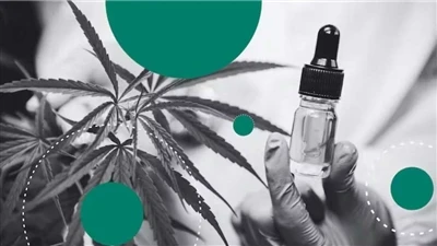 Mengapa CBD Menghasilkan Balsem Bibir Asli Terbaik