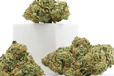 Mengapa CBD Menghasilkan Balsem Bibir Asli Terbaik
