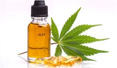 Apakah Perbezaan Antara Minyak Biji Hemp, CBD Dan Ekstrak Hemp?